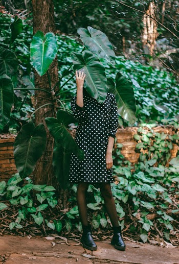 Woman Coverig Face with Green Taro Plant