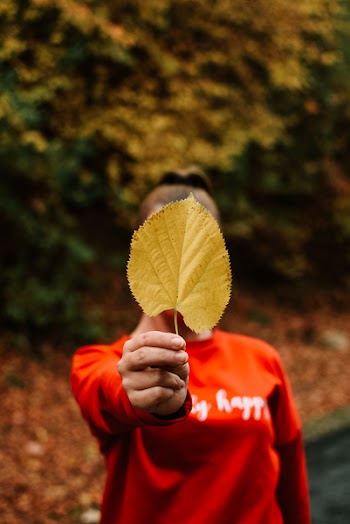 Woman Covering Face and Holding Brown Leaf