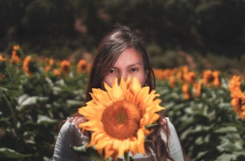 Woman Covering Her Face With Sunflower