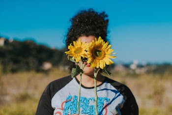 Woman Covering Her Face With Sunflowers