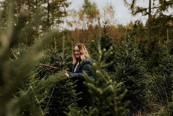 Woman cutting a Christmas tree | Free Photo - rawpixel