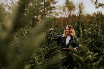 Woman cutting with a bow | Free Photo - rawpixel