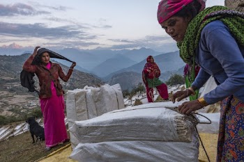 Woman delivering Lokta bark paper, | Free Photo - rawpixel
