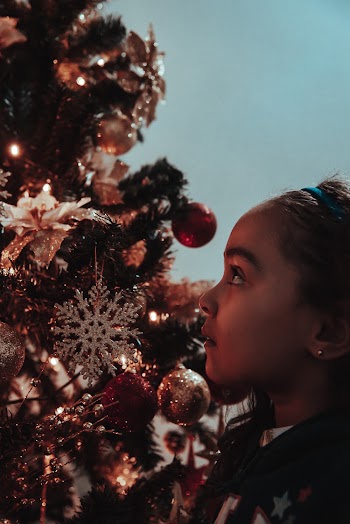 Woman Facing Green Christmas Tree