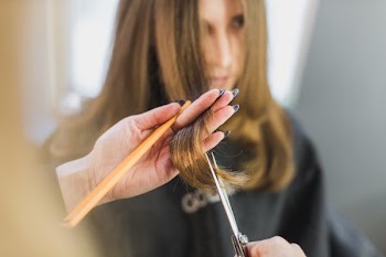 Woman Getting Hair Cut At Salon