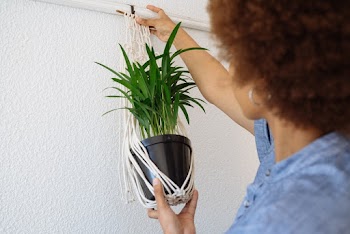 Woman Hanging A Pot Plant