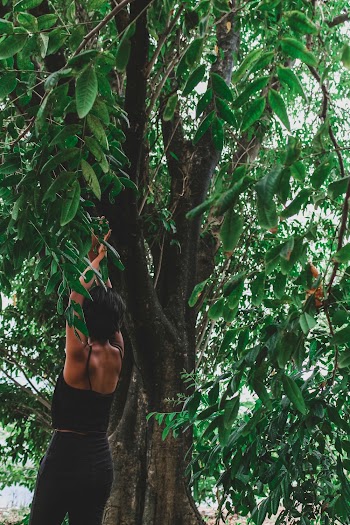 Woman Hanging on Tree
