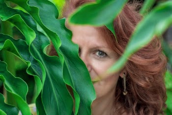 Woman Hiding on Green-leafed Plant