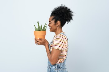 Woman holding a potted aloe vera succulent | Free stock photo | High Resolution image
