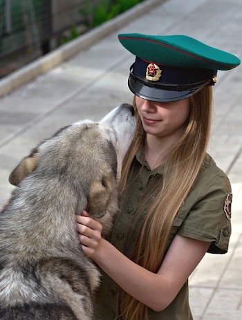 Woman Holding Adult Silver Siberian Husky