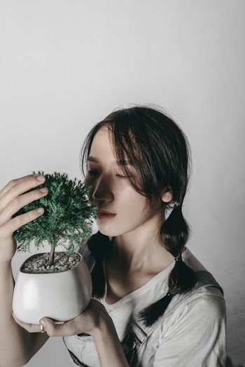 Woman Holding Bonzai Tree