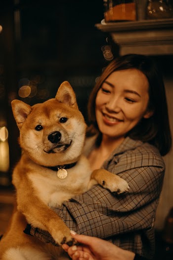 Woman Holding Brown Chiba Inu Dog