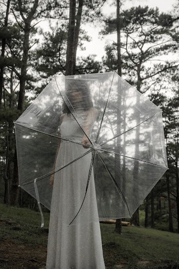 Woman Holding Clear Umbrella