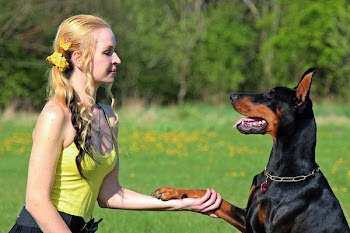 Woman Holding Doberman Pinscher's Paw