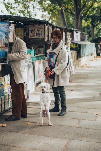 Woman Holding Dog With Dog Leash