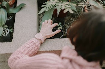 woman holding green leafed plant