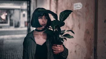 Woman Holding Green Leafed Plant
