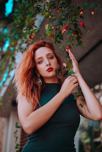 Woman Holding Green Leafed Plant 