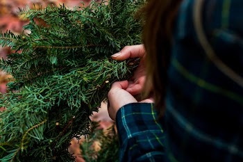 woman holding green pine bough selective focus photo