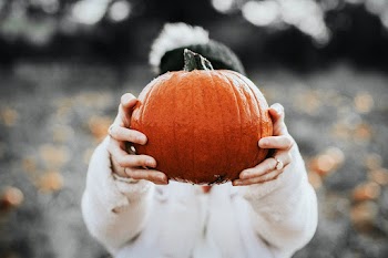Woman holding Halloween pumpkin in a farm