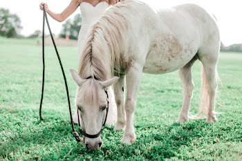 Woman Holding Horse Reigns
