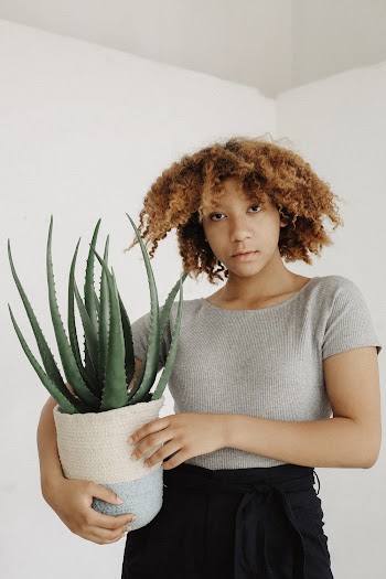 Woman Holding Potted Aloe Vera Plant