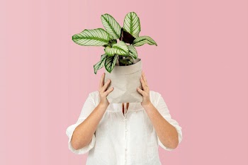 Woman holding potted plant in sustainable… | Free stock photo | High Resolution image