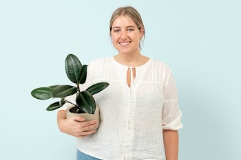 Woman holding potted rubber plant | Free stock photo | High Resolution image