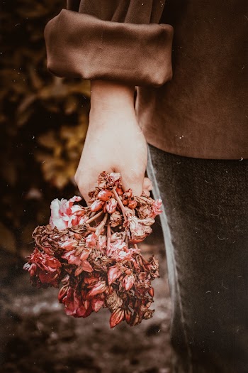 Woman Holding Red Petaled Flowers