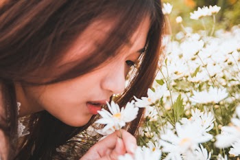 Woman Holding White Daisy Flowers