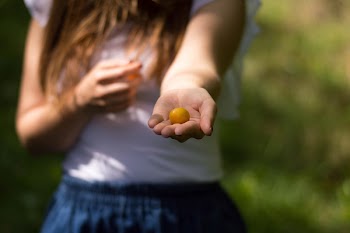 Woman Holding Yellow Tomato