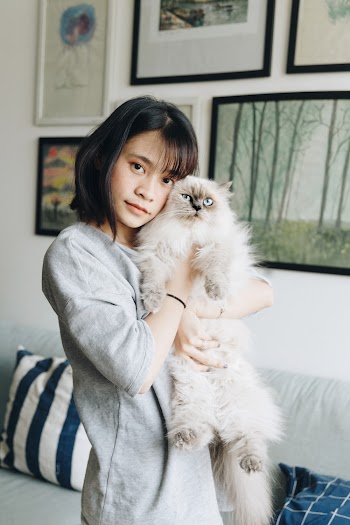 Woman Hugging Himalayan Cat