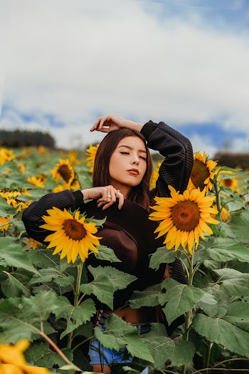 Woman in a Sunflower Field