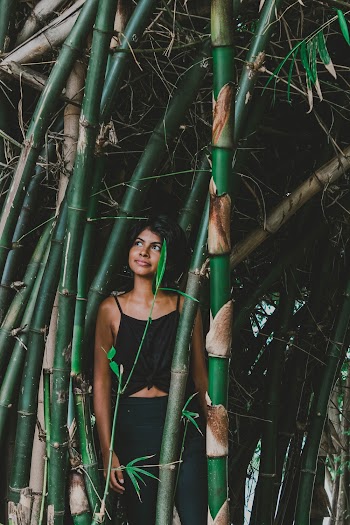Woman In Between Bamboos