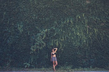 Woman in Black Bikini Top on Green Leafed Plant