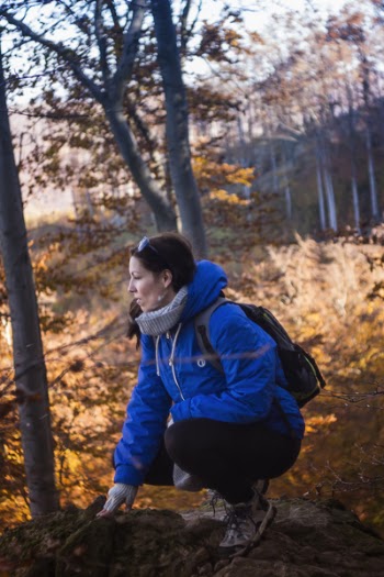 Woman in Blue and Gray Hoodie and Black Pants Sitting on Rock Formation Near Yellow Leaf Trees during Daytime