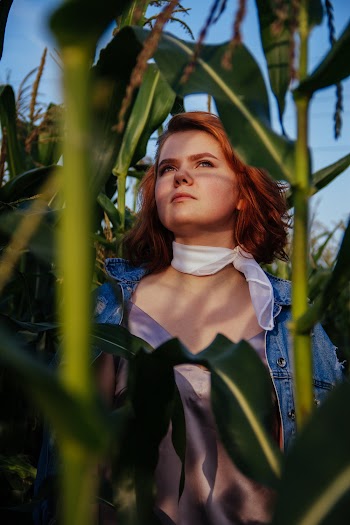 Woman in Blue Denim Jacket in Corn Field