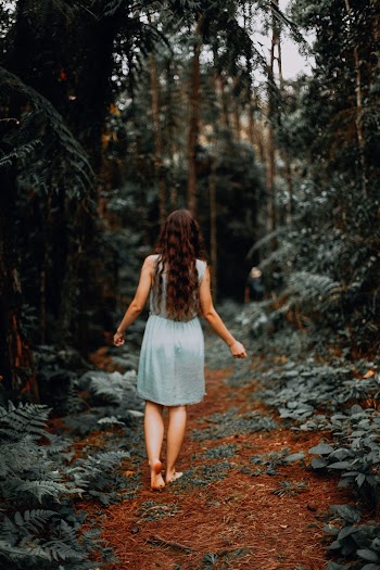 Woman in Blue Dress Walking Inside Forest