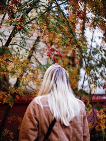 Woman in Brown Coat Standing Near Green Trees · Free Stock Photo