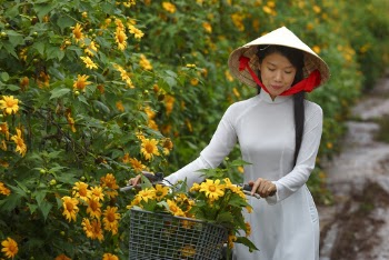Woman in Brown Cone Hat and White Long-sleeved Dress Holding Bike Handle Near Yellow Flowers