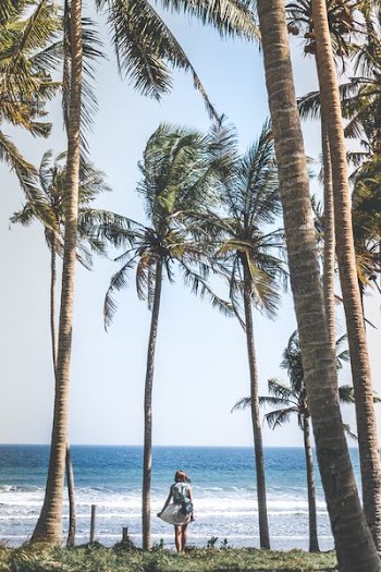 woman in gray dress near seashore under coconut trees