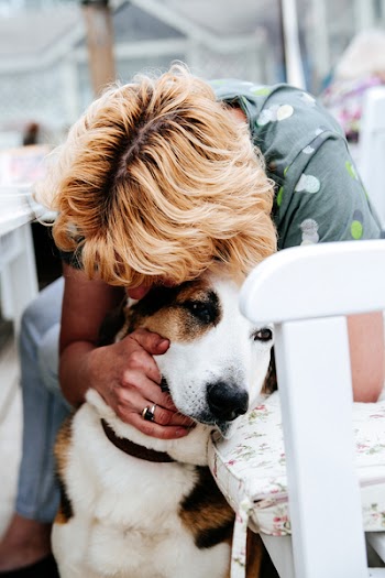 Woman in Gray Floral T-shirt Hugging White and Tan Dog