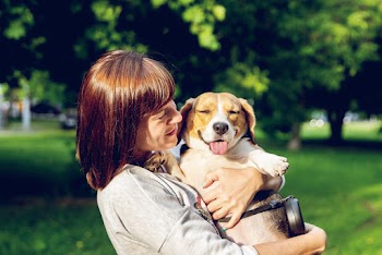Woman in grey long-sleeved carrying a dog