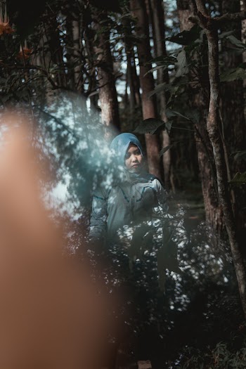 Woman in Hijab Standing Near Tall Trees