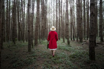 Woman in Red Coat Surrounded by Trees