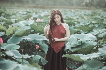 Woman in Red Halter Top Standing in Farm Field