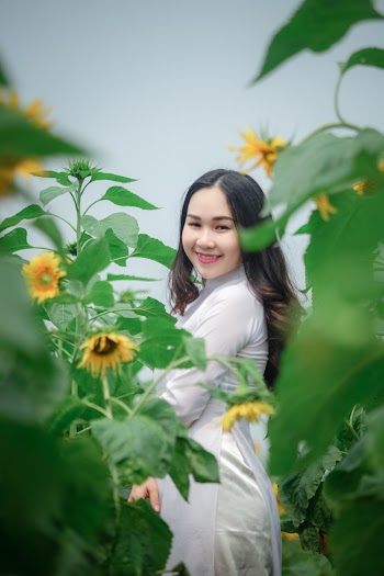 Woman in White Dress Standing on Sunflower Field
