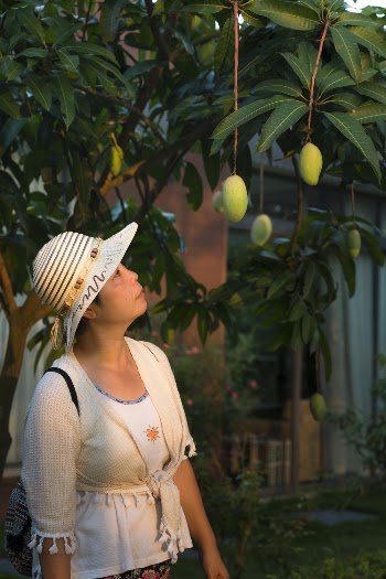 Woman in White Hat Staring on Hanging Mango