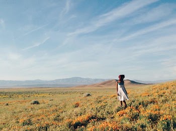Woman in White Sundress Standing on Flower Field during Daytime