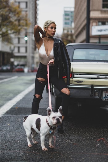 Woman in White Top and Black Leather Jacket Holding Dog With Leash